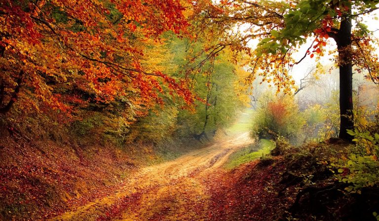 Schimbările au nevoie de timp…până în noiembrie